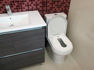 Način upotrebe Antihemoroid sedala